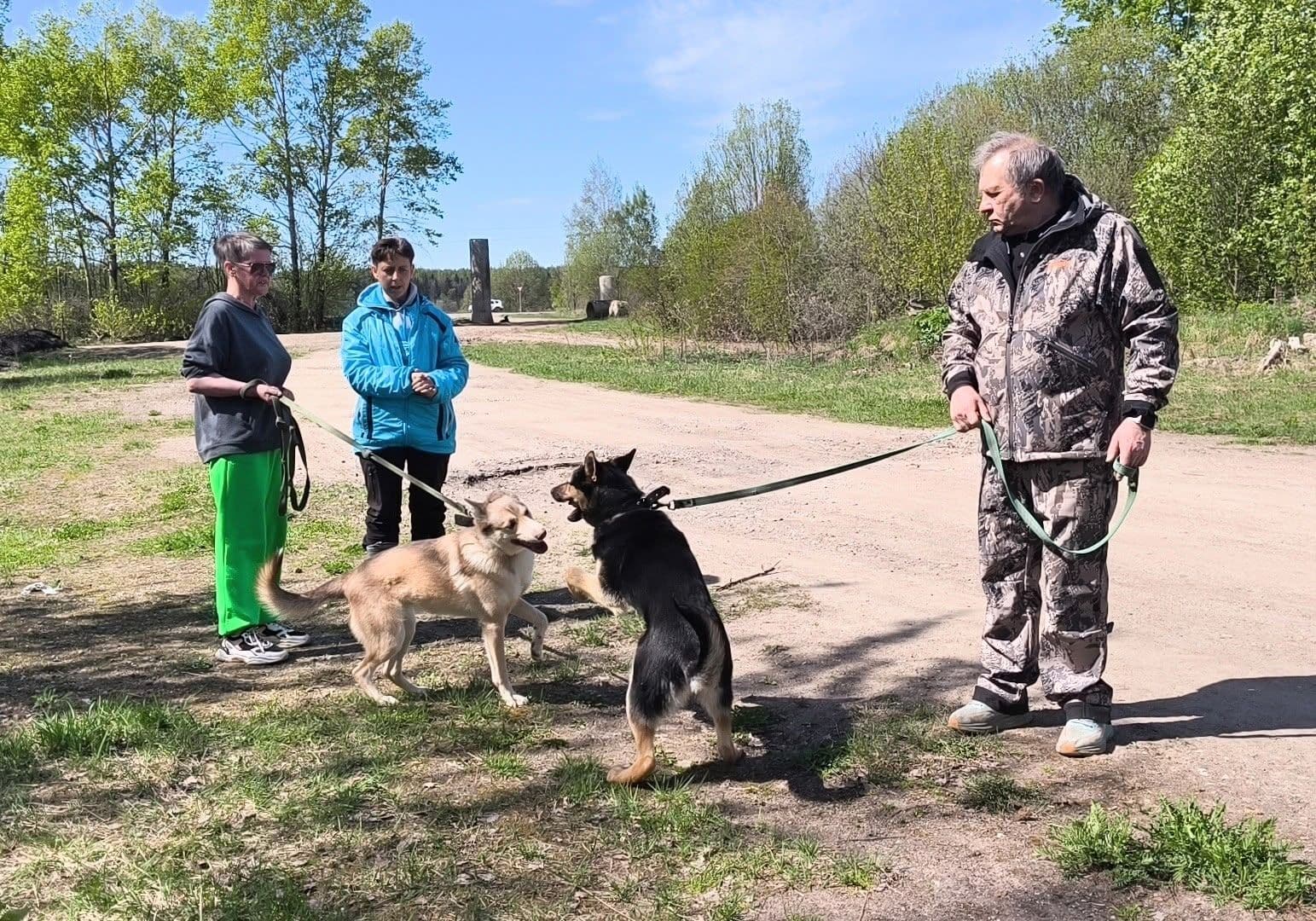 Как правильно общаться с собаками: как прошли первые занятия по зоопсихологии — фото 4