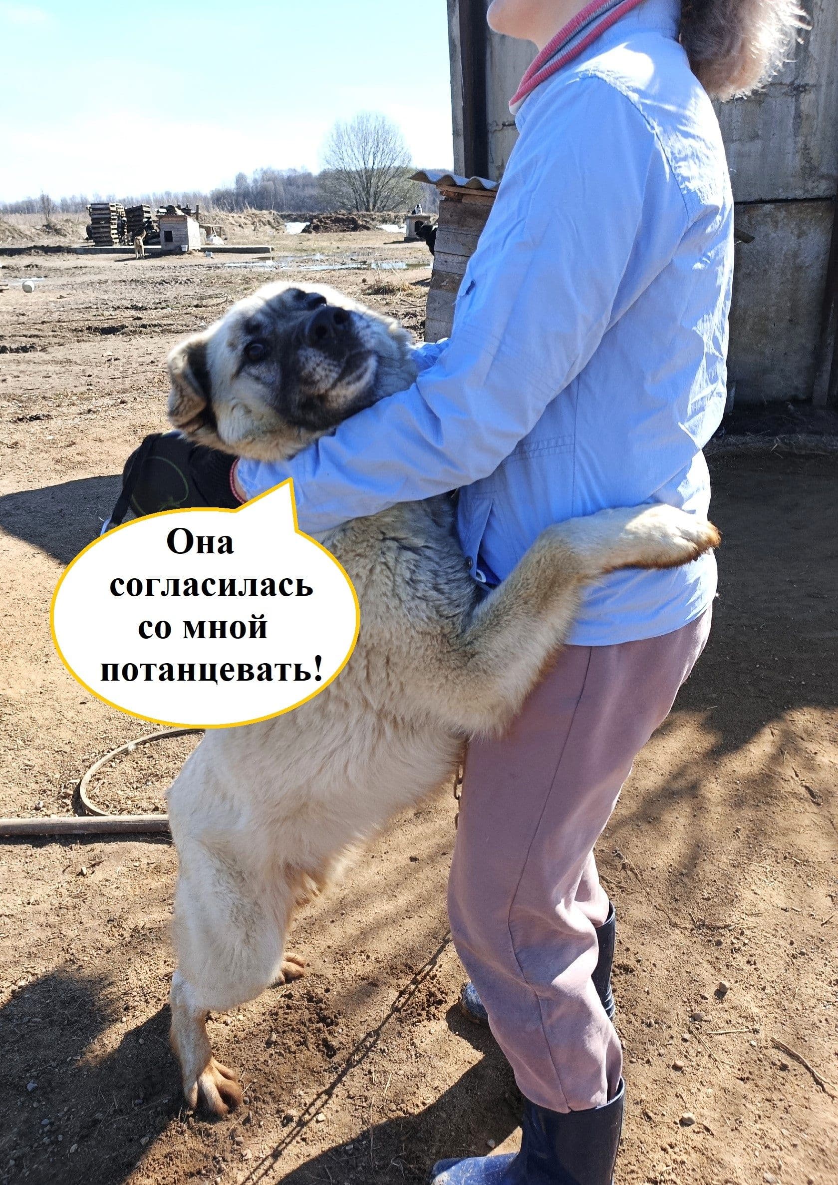 Неподдельные эмоции Серкана: приглашаем на прогулки в выходные! — фото 1