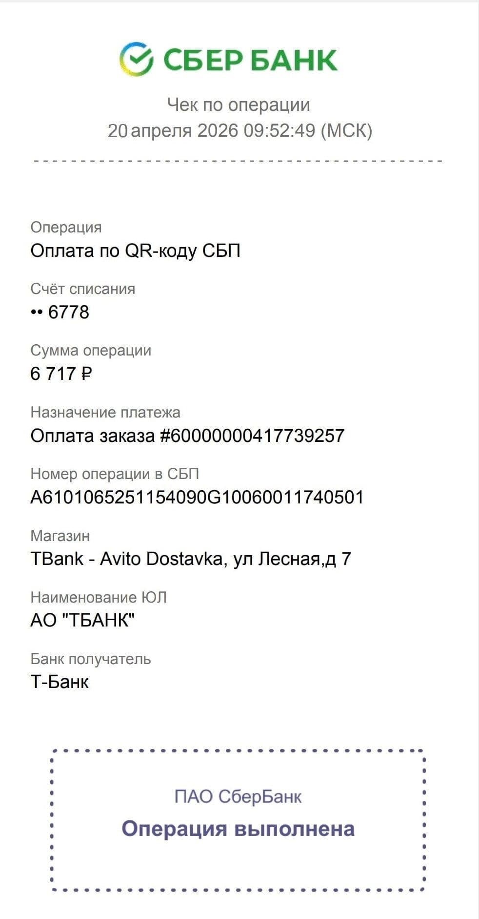 Симба, кошка