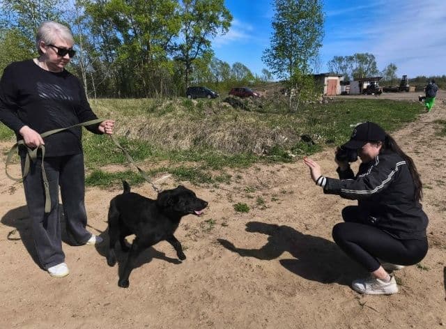 Весенняя фотосессия в «Светлом»: делимся кадрами профессиональной съемки собак — фото 6