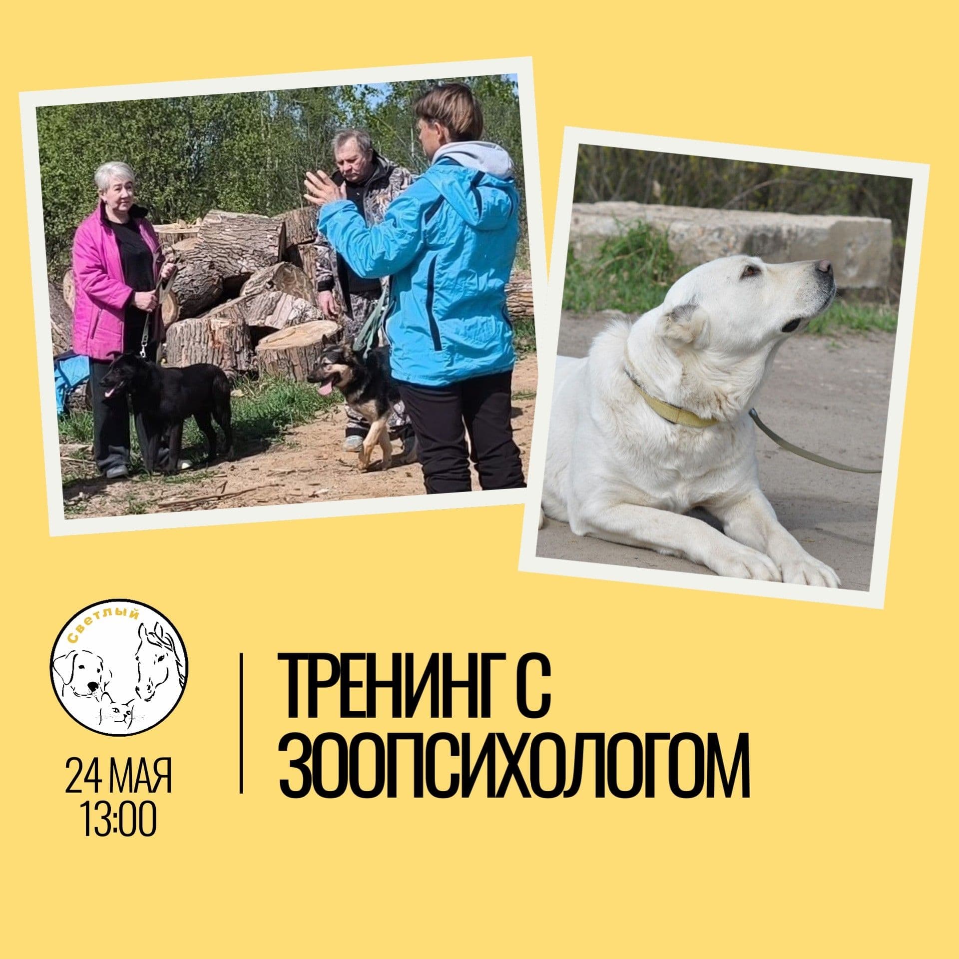 В эти выходные в "Светлом" вновь пройдут тренинги с зоопсихологом Анастасией Юстиновой, посвященные правильному и…