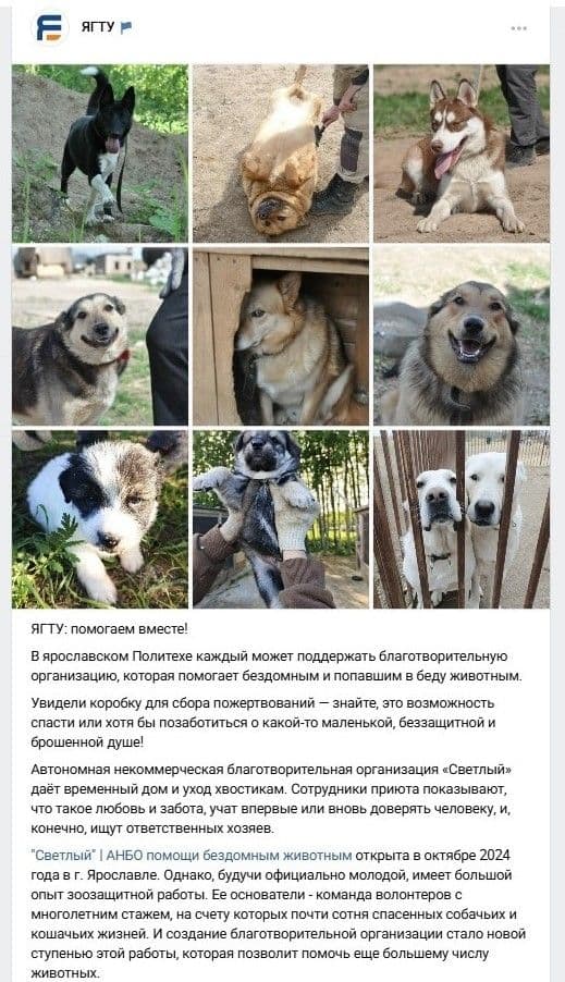 О нас пишут 📝 Информационная помощь - это тоже очень большая помощь. Так о "Светлом" узнают новые люди и начинают…