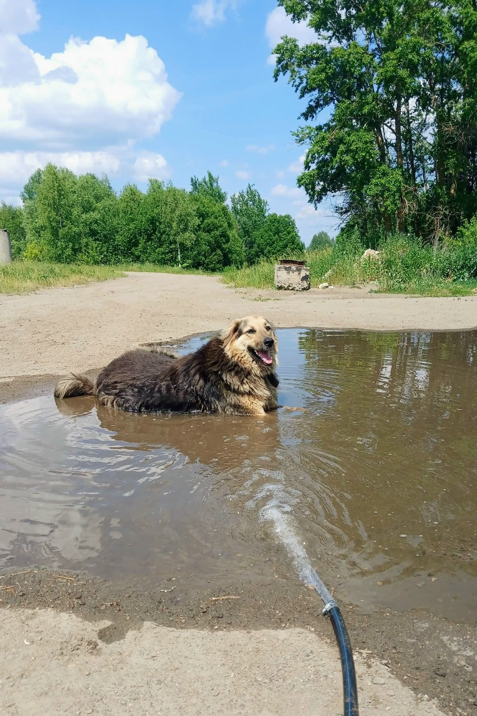 Рубрика Moments. Персональное озеро Джесси 💦