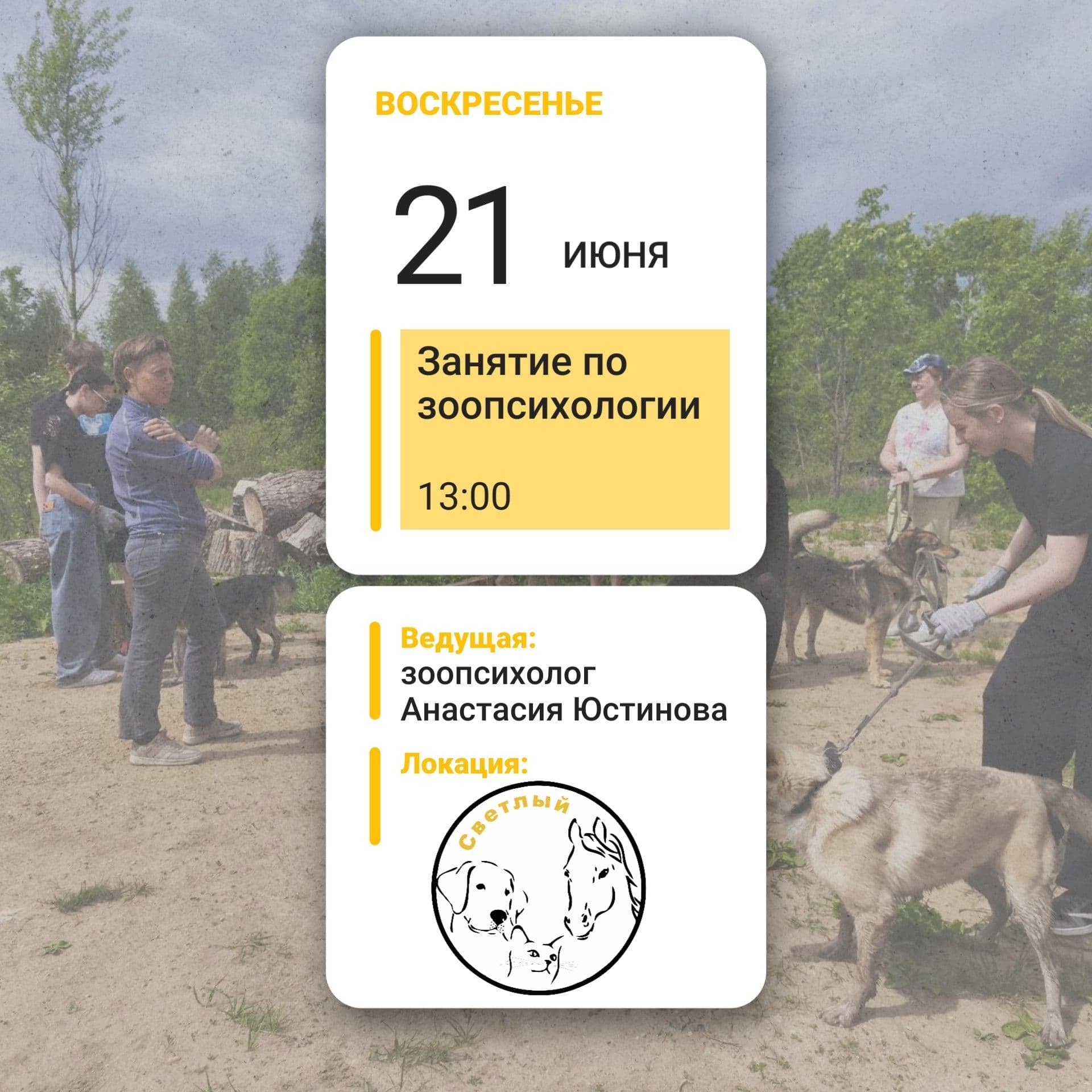 Напоминаем, что по выходным в "Светлом" проходят занятия по зоопсихологии. Если вас интересуют вопросы правильного и…
