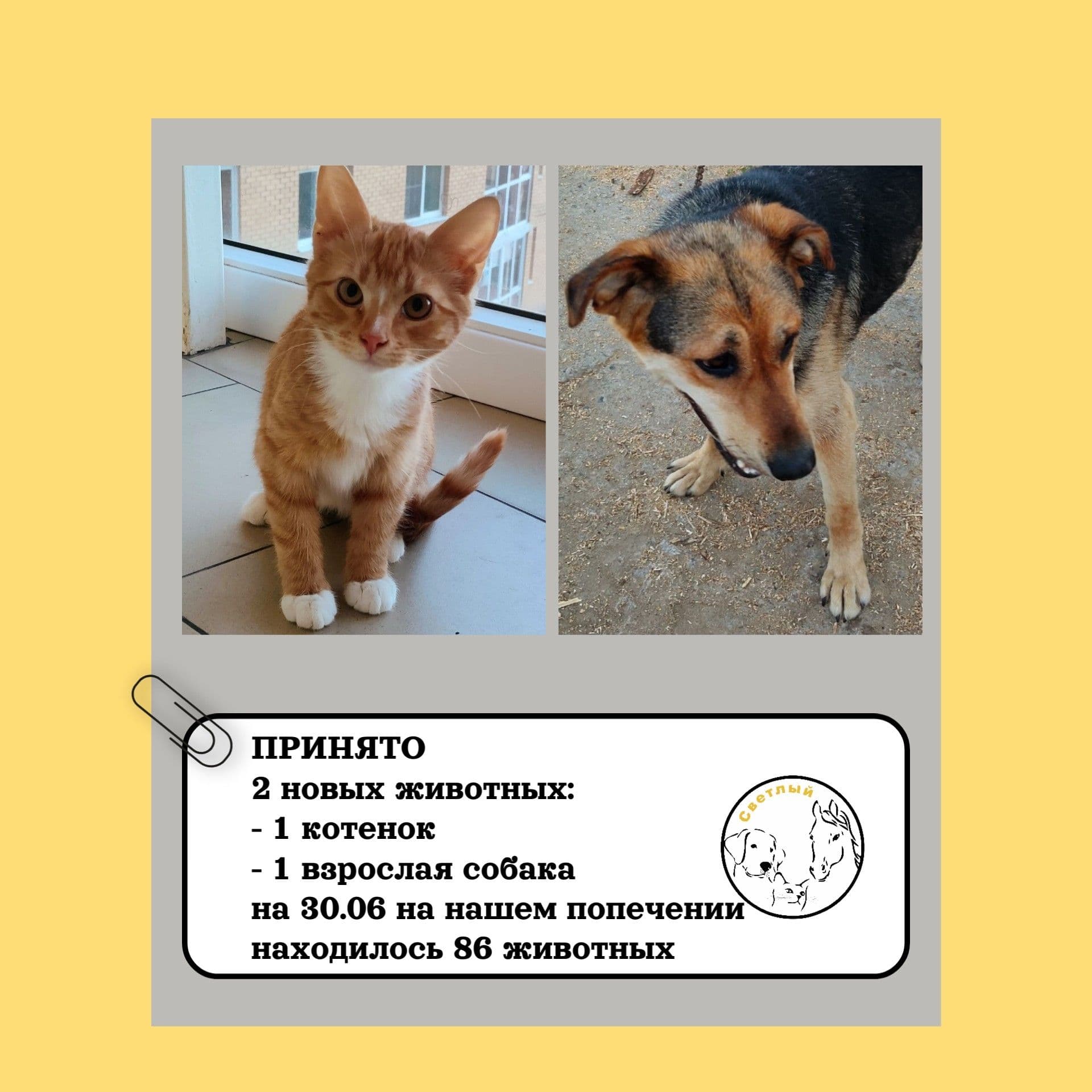Мы начинаем публиковать ежемесячные отчеты 📝
