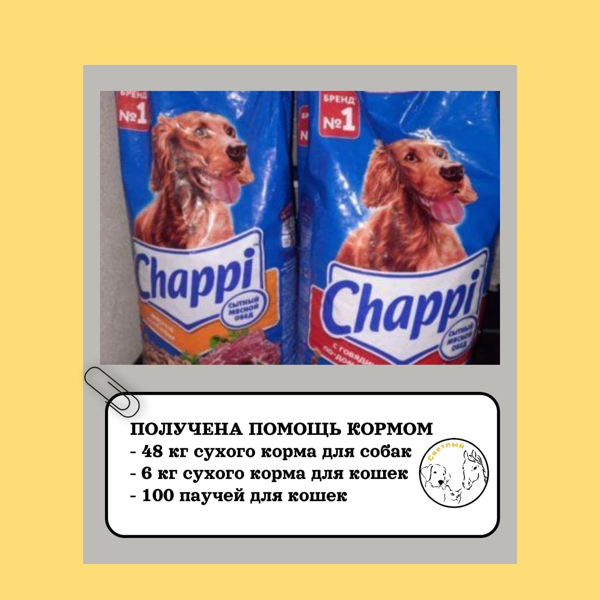 Мы начинаем публиковать ежемесячные отчеты 📝