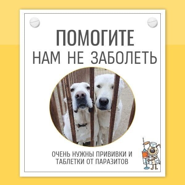 Мы открываем большой и очень важный сбор. Пожалуйста, поддержите нас любой посильной суммой 🙏