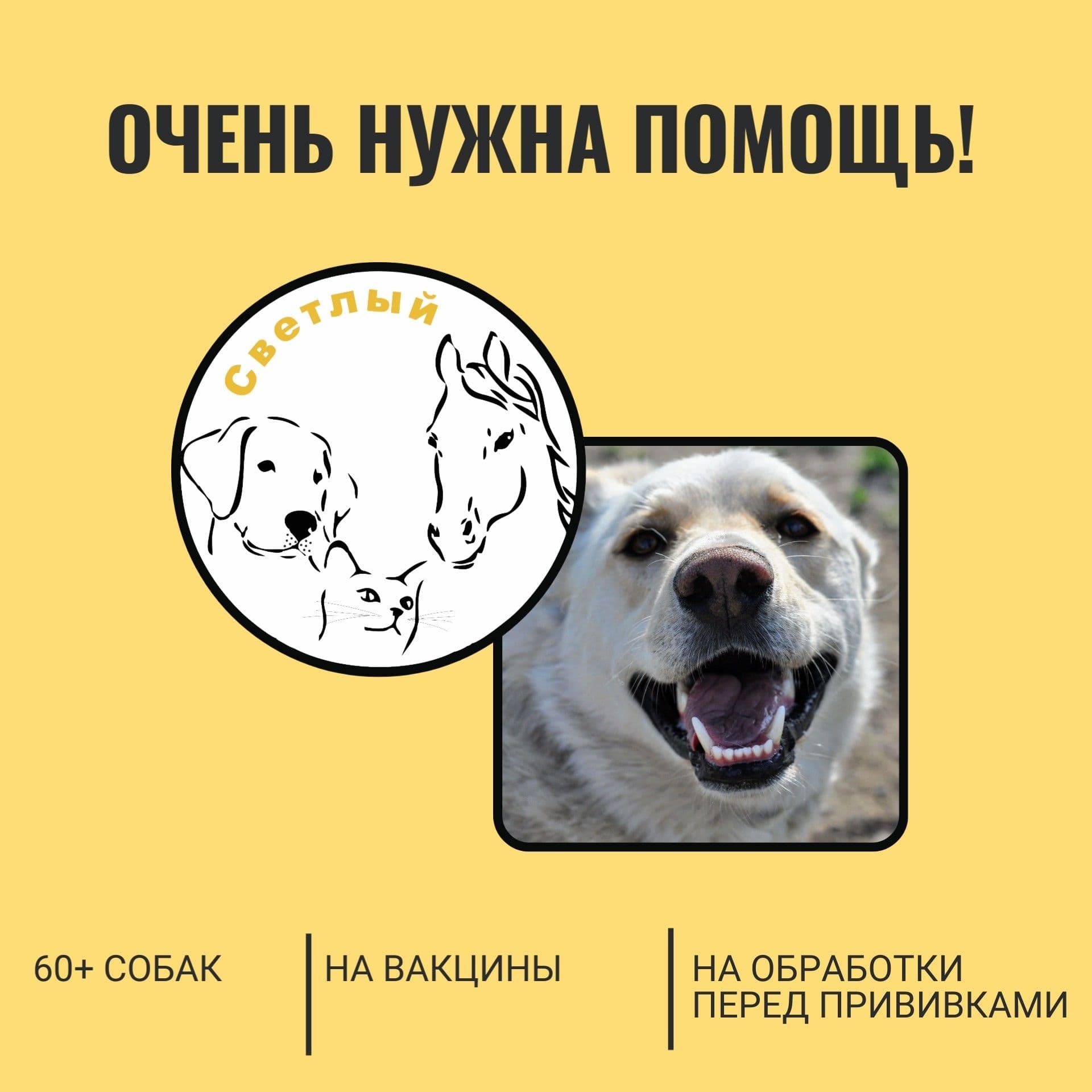 Дорогие друзья, напоминаем, что у нас сейчас открыт большой и очень важный сбор - на вакцины и антигельминтные…
