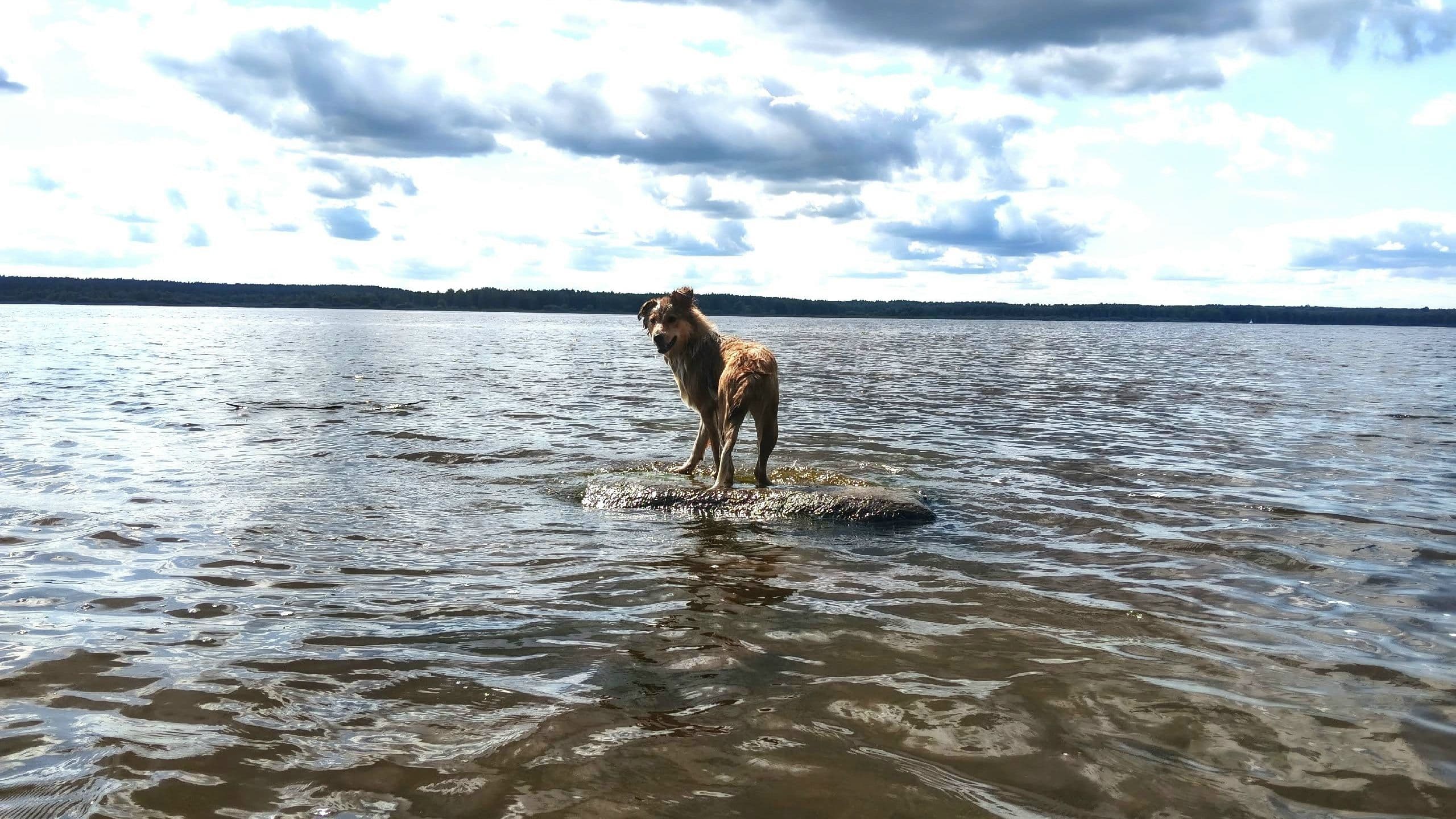 Летние будни наших выпускников 🌊🔆