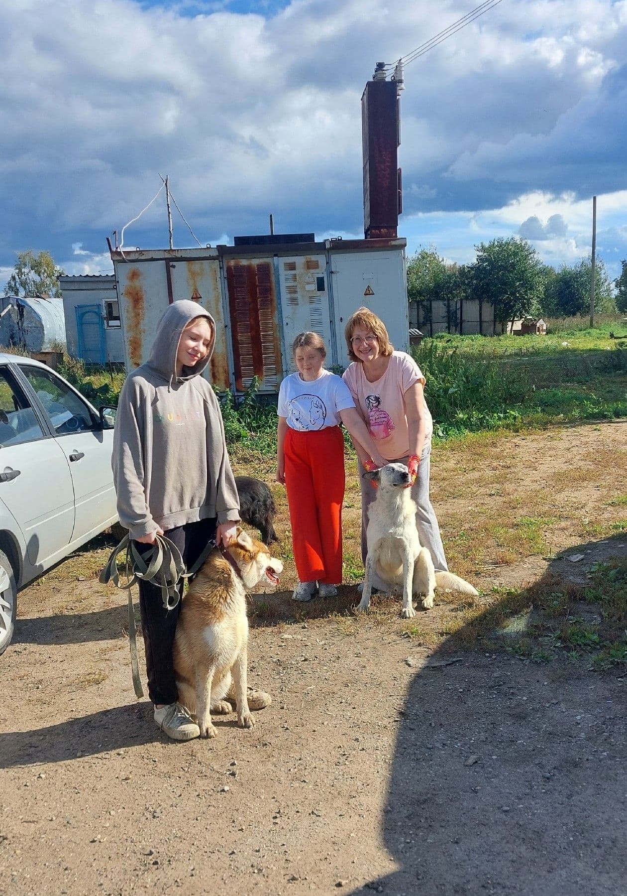 К работе с собаками в "Светлом" присоединился еще один кинолог. Прежде всего, он занимается с теми подопечными, кому…