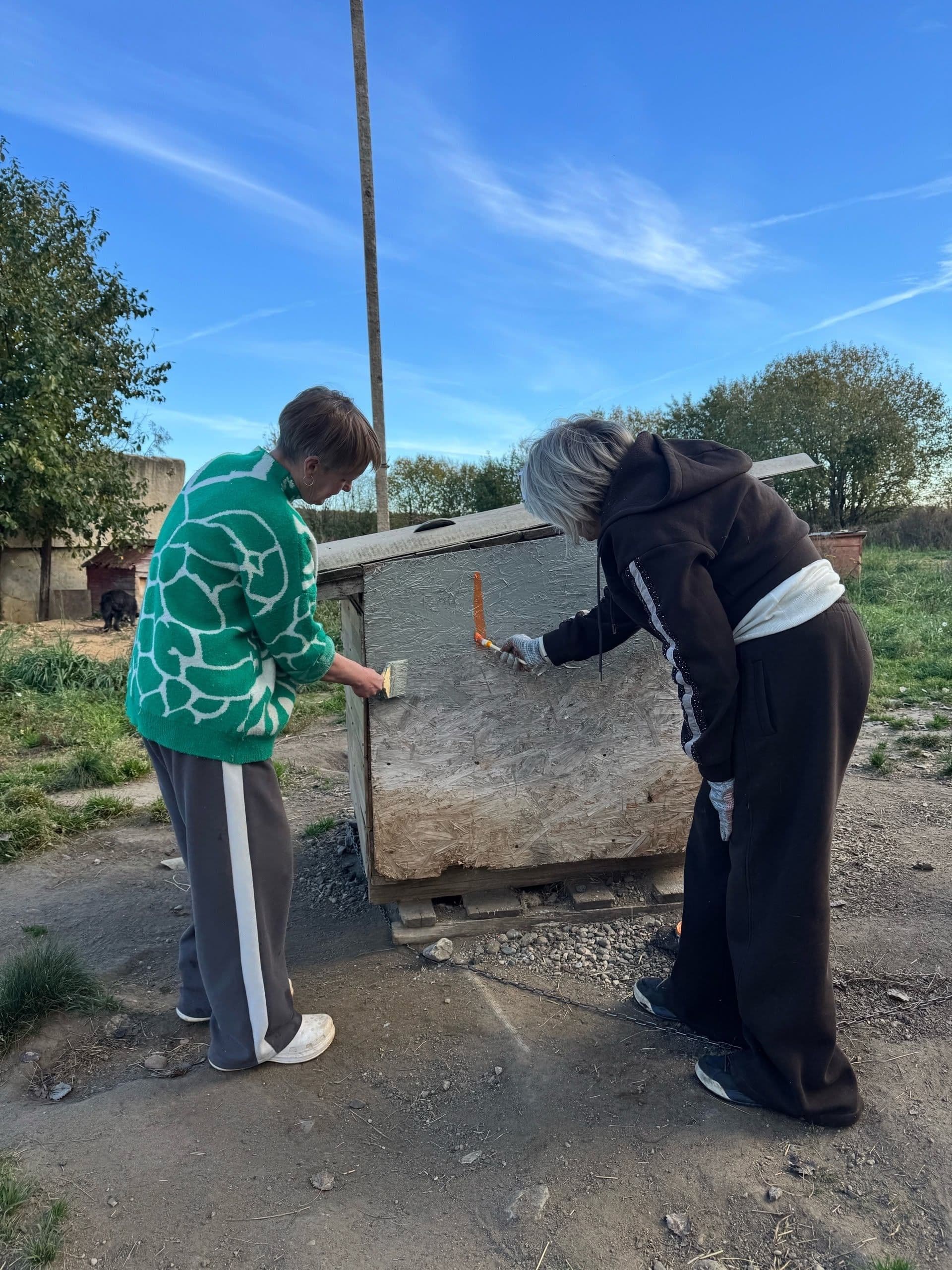 Наши волонтеры решили добавить красок этой осени. Собрались в "Светлом", взяли в руки кисточки и разрисовали собачьи…
