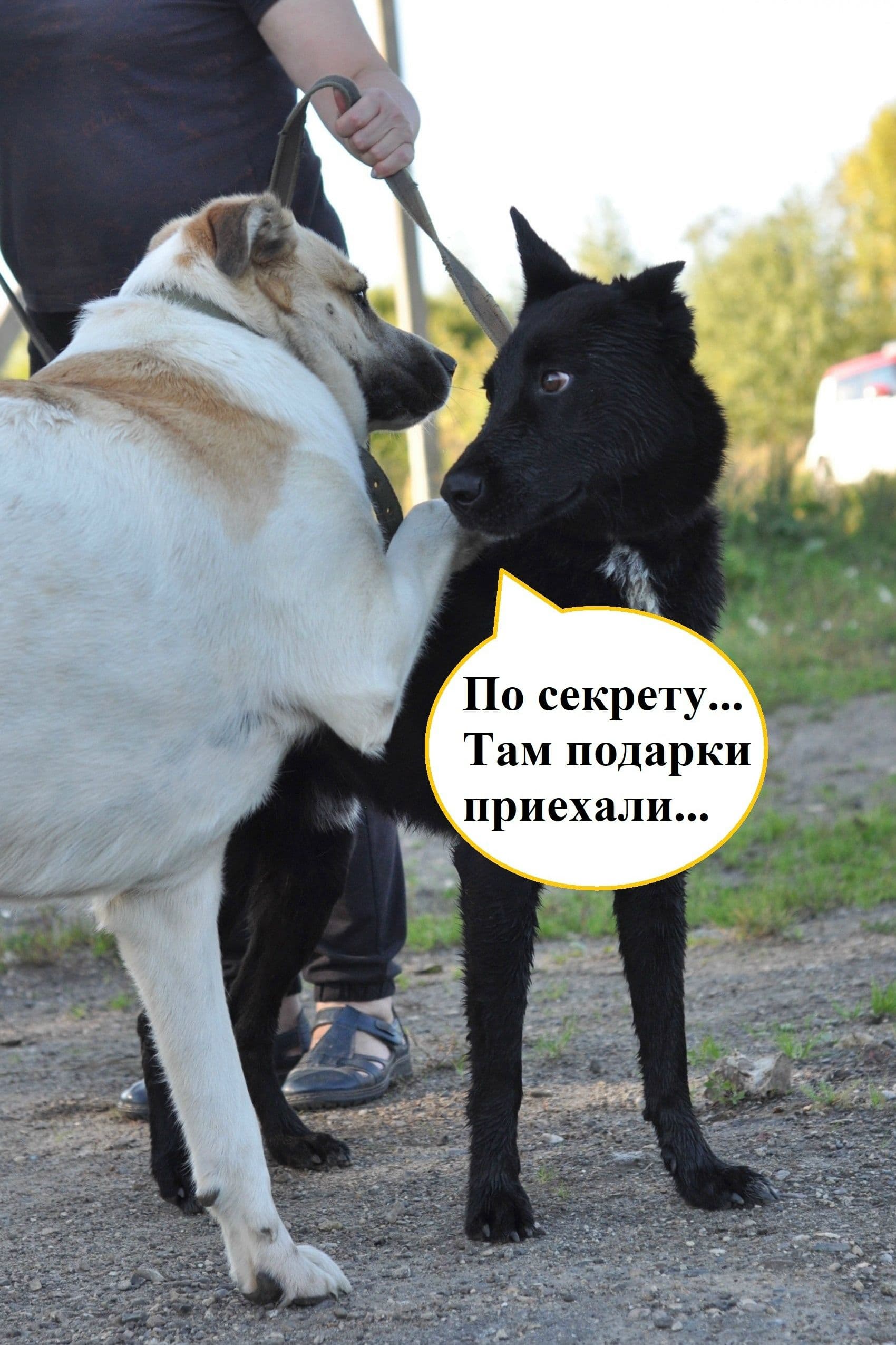 Мы очень рады, что у нас появляются новые друзья 💛