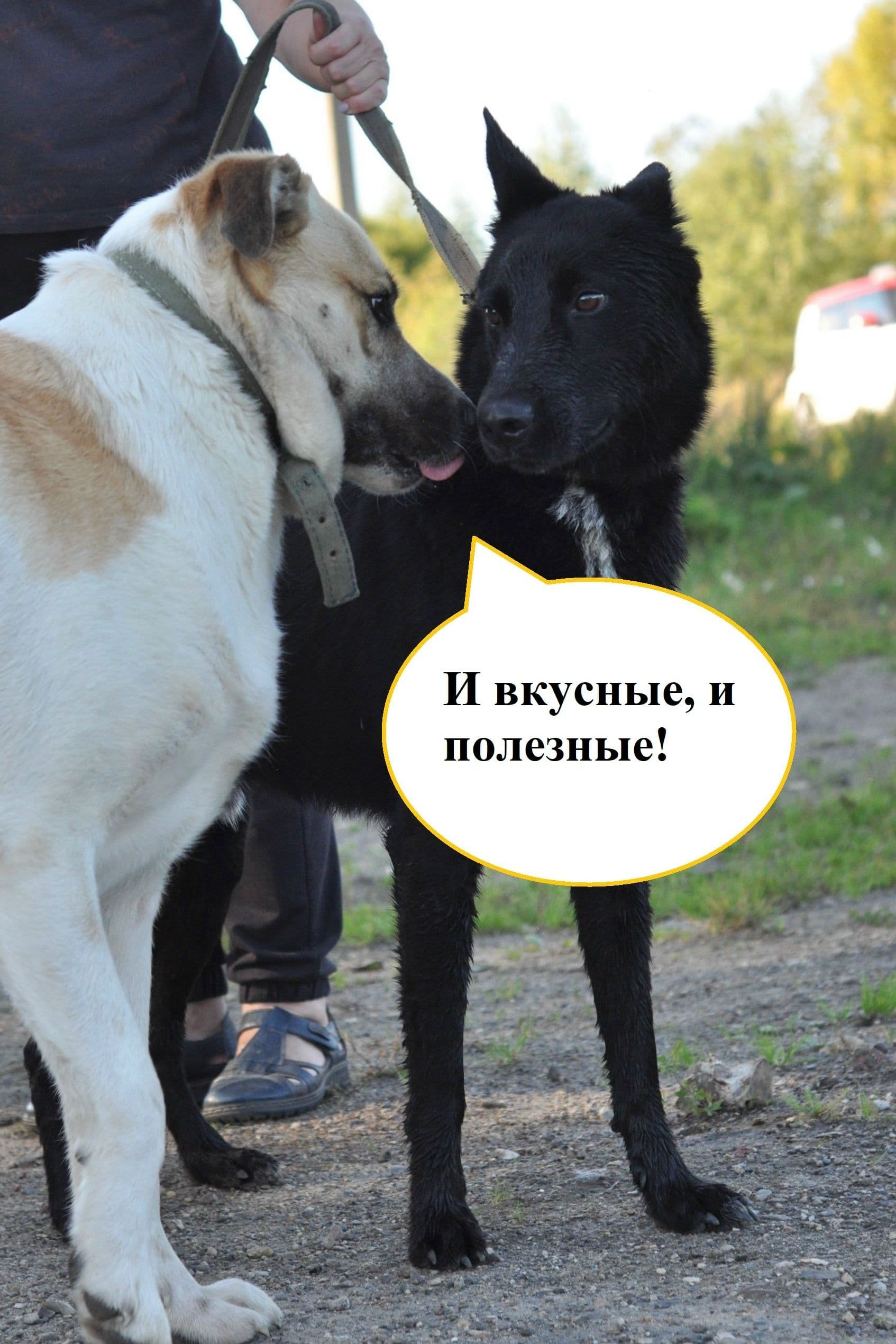Мы очень рады, что у нас появляются новые друзья 💛