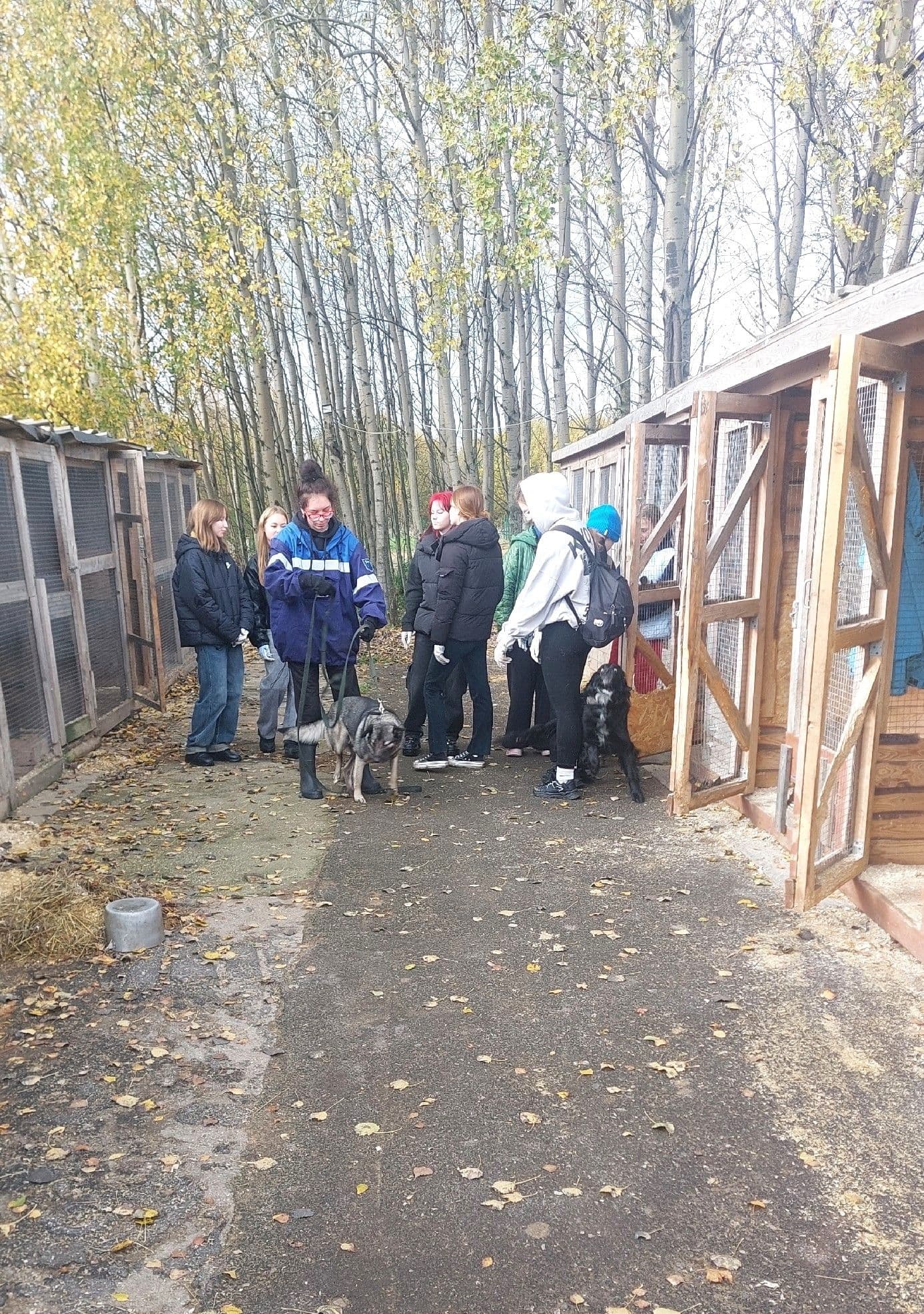 В осенние каникулы в "Светлый" посещали юные волонтеры. Ребята знакомились с тем, как живут собаки, у которых нет…