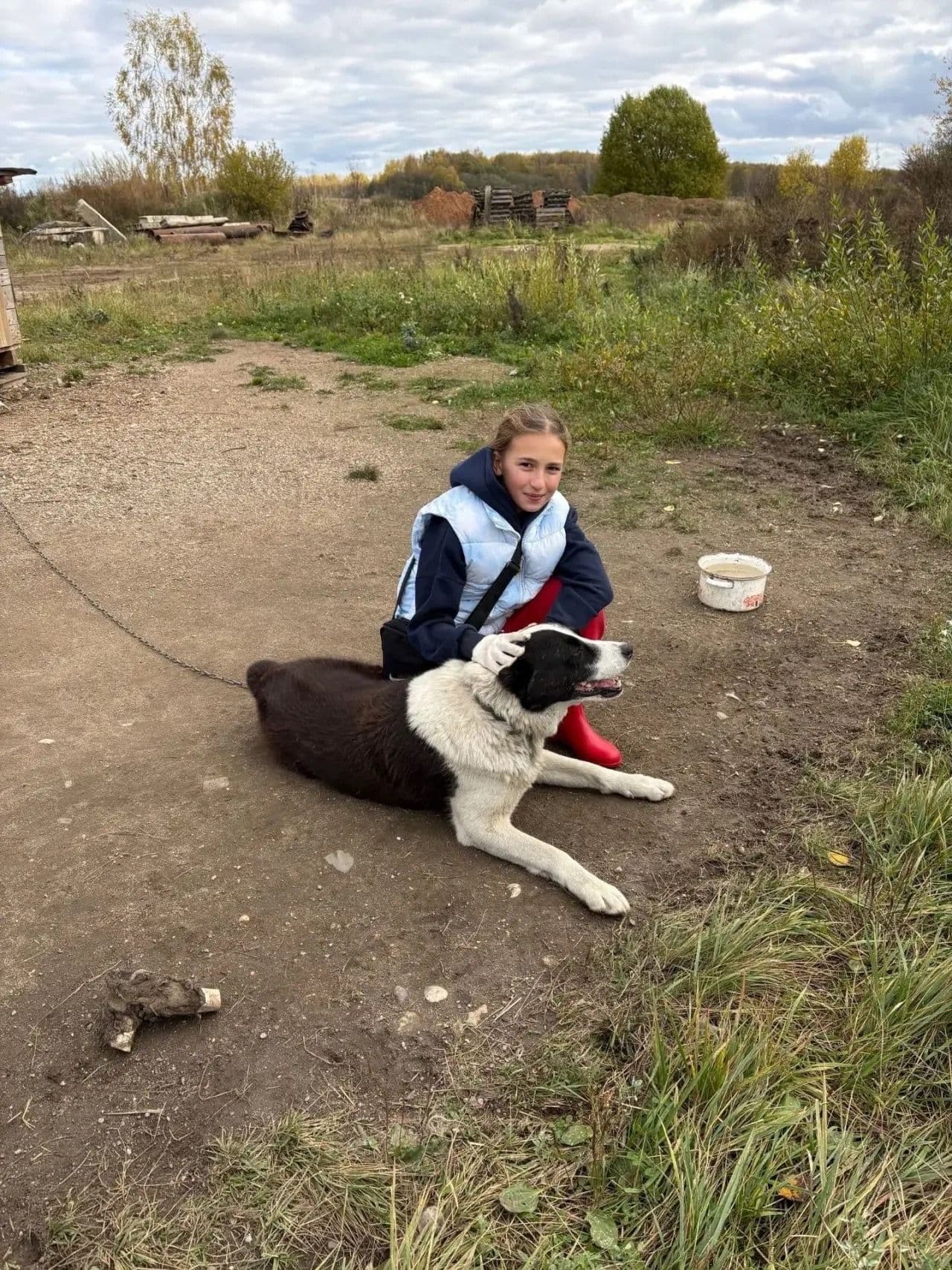 В осенние каникулы в "Светлый" посещали юные волонтеры. Ребята знакомились с тем, как живут собаки, у которых нет…