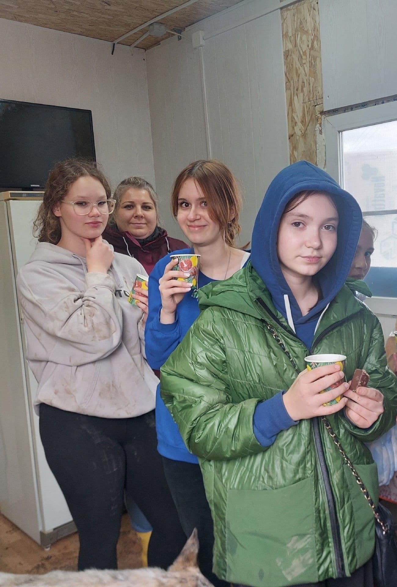 В осенние каникулы в "Светлый" посещали юные волонтеры. Ребята знакомились с тем, как живут собаки, у которых нет…